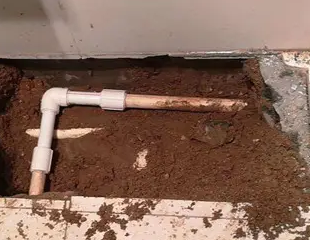 保定市测漏水哪家好