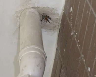 保定市漏水检测哪家好